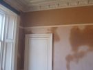 PREMIUM PAINTER DUBLIN | 20 Yrs Exp | High Access & Flawless Finish Image 5