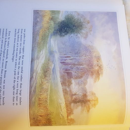 Beningfields Woodlands. Beautiful paintings by Gordan Beningfield of woodland and it birds and animals.