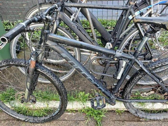 carrerra bike