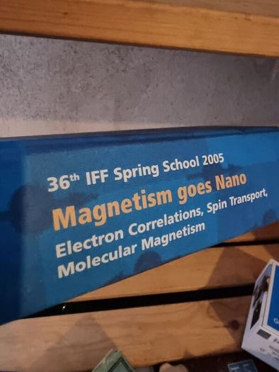 Magnetism goes Nano: Electron Correlations, Spin Transport, Molecular Magnetism... (gebundene Ausgabe