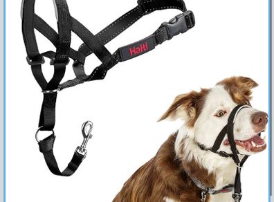 Halti Headcollar Stop Your Dog Pulling on the Lead