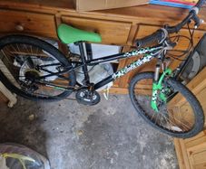 free bicycle