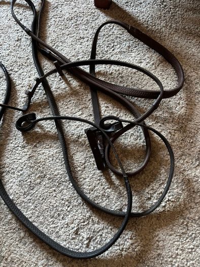 Bridle and various tack accessories