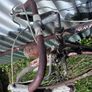Vintage Emmelle Ranger GT12 10 speed road racing bike Image 8