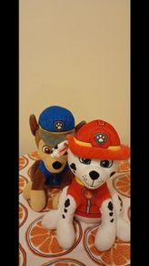 Chase and Marshall teddies