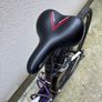 bike carrera Image 2