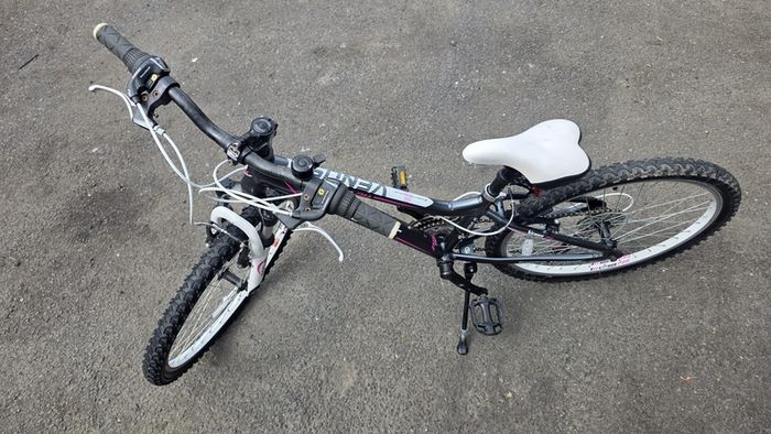 24 Procycle Venus Bike  Like New  Fully Checked
