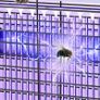 NEW SALE | 3200V Electronic Insect and Fly Killer,USB Plug Powerful Fly Trap Bug Zapper Indoor Outdoor,Fly Zapper Attracting Mosquito with UV Light for Kitchen,Home,Indoor Garden Yard Image 5