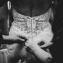 Wedding dress for sale Image 7