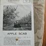1960s Department Of Agricultural Booklets On Farming. Topics Such As Patato Growing,planting Forest Trees,desease Control And Others. In Good Condition.  See Photos For Same. Image 7