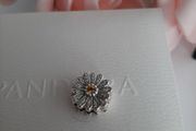 new genuine pandora reflexions sparkling daisy charm