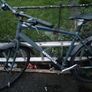 bikes Image 2