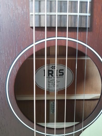 Iris Guitar Company Og All Mahogany
