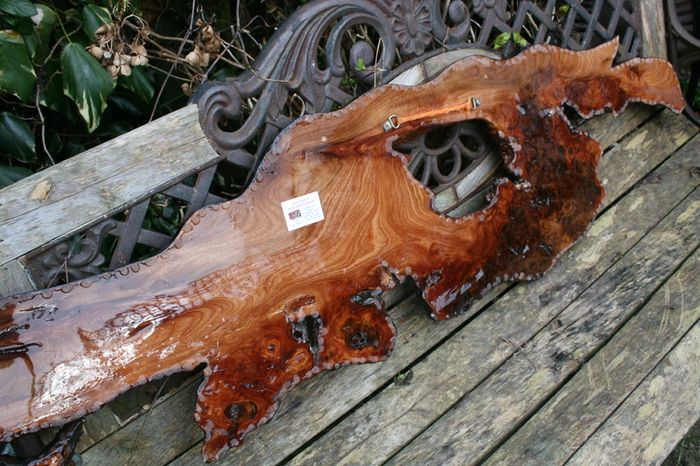 Original Artwork, Acrylic on live edge Cedar, housewarming gift, unique artwork, cabin gift, rustic art 55" x 14"