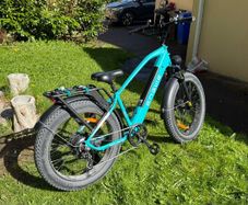 Engwe E26 Electric Bike