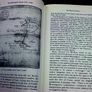 The Blessington Estate 1667-1908 Ireland Irish County Wickow local history Image 3