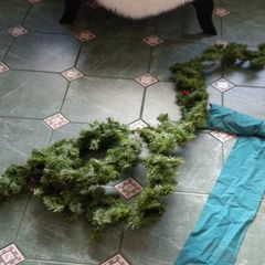 Christmas stuff