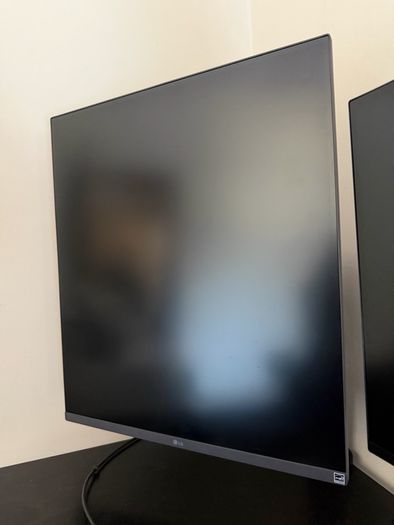 LG Dualup Monitor