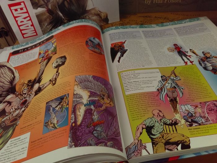 The DC Comics Encyclopedia ! The Definitive Guide To The Characters Of The DC Universe ! Beautiful Hardback !