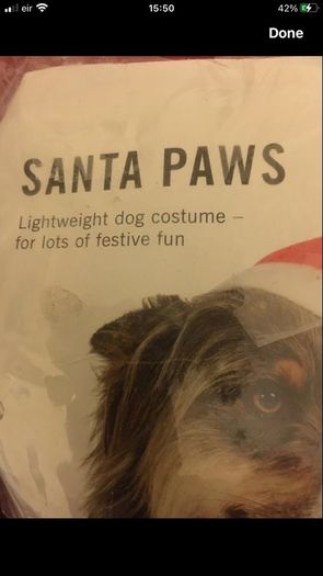 Dogs new Xmas suit size L
