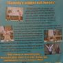 Bottom [2001] An Arse Oddity (Rik Mayall & Adrian Edmondson) [DVD TV Boxsets] Image 3