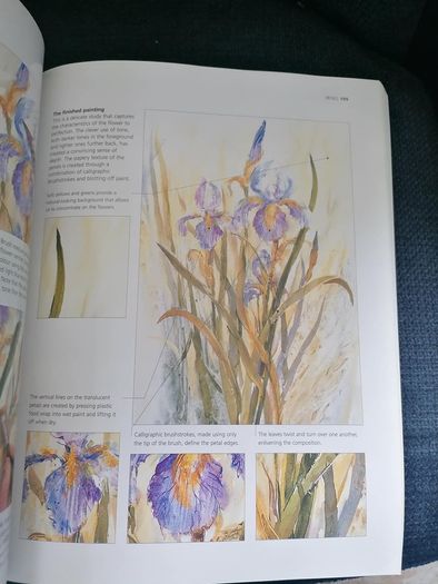 Mastering the Art of Oils, Acrylics & Gouache