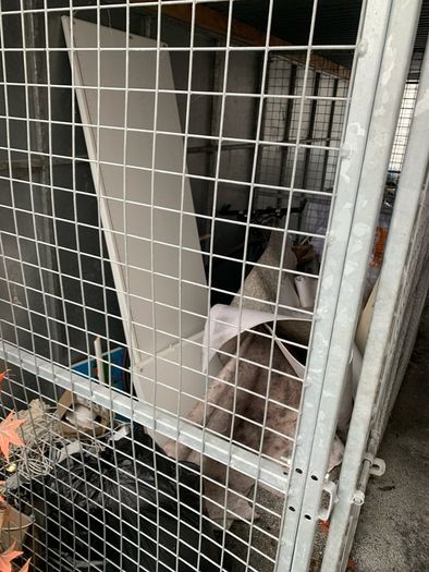 Dog Cage