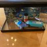 fish tank Image 2