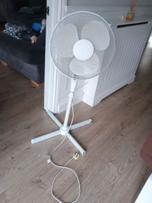 fan