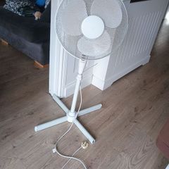 fan