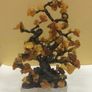 Baltic Amber  Tree Image 2