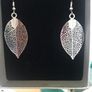 Earrings Image 2