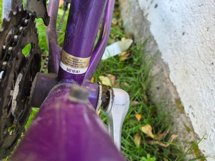 Raleigh Vixen