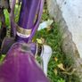 Raleigh Vixen Image 2