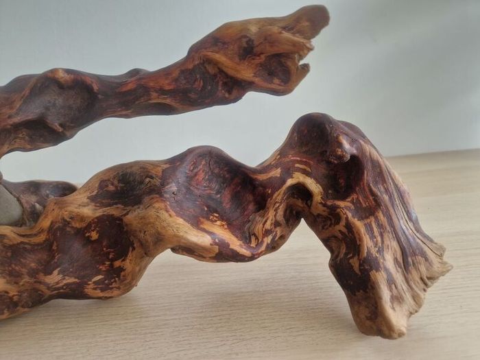 driftwood