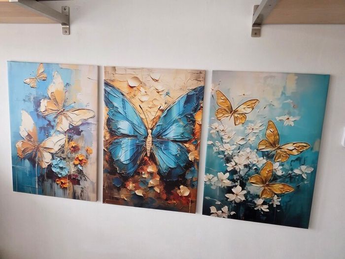 3 canvas framed 46x66cm each size