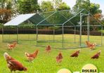 20 X 10 X 6ft Hen Run Pitched Free Roof Free Delievry