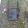 bunnies Image 7