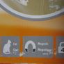 Magnetic Cat Door Image 4