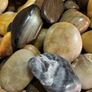 Beach pebbles tumbled and polished Image 7