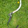 Bicycle Trailer Burley Bee Image 4