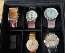 Watch collection+Watch box
