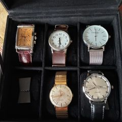 Watch collection+Watch box