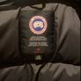 Canada Goose Image 5
