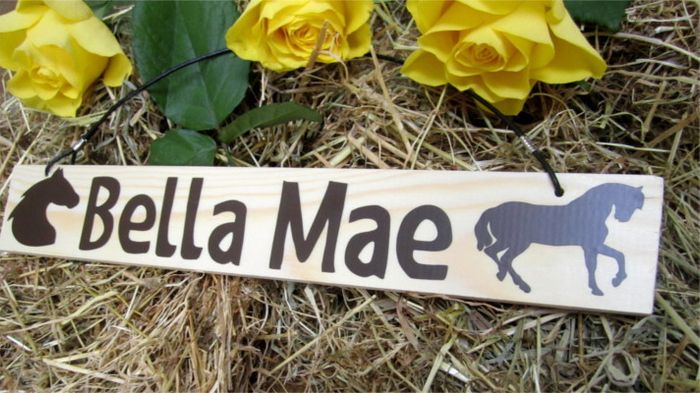 Equestrian stable door locker wooden hanging signs plaques with the horse pony name