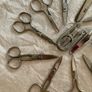 Collection of Small Scissors 12 Image 4