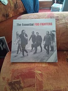 lp They're essential foo fighters Double LP