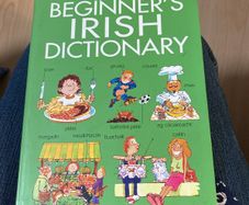 Irish language children's book