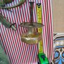 Brass Door Knob, Letter box etc Image 9