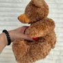Regal Toys Edward 1 Classic Teddy Bear approx. 22 cm. Soft Plush Used Please see photos Image 5